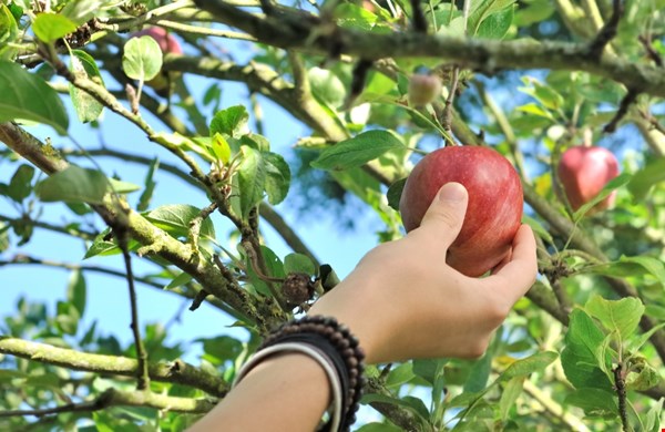 Simpele stapjes op weg naar een duurzamere wereld